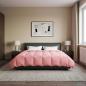 Preview: ARDEBO.de - Ganzjahresbettdecke 200 x 200 cm 4 Jahreszeiten Rosa