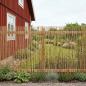 Preview: Gartenzaun Karbonisiert 500 x 100 cm Schilf
