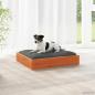 Preview: ARDEBO.de - Hundebett Wachsbraun 51,5 x 44 x 9 cm Massivholz Kiefer