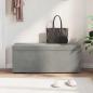 Preview: Hocker Hellgrau 101 x 41 x 40 cm Samt und Engineering Holz