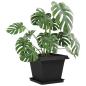 Preview: Quadratisches Blumentablett 24 stk. Schwarz 36 x 36 x 2,5 cm