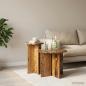 Preview: Beistelltisch-Set 2 Stk. Altholz Ø 45 x 35 cm Holzwerkstoff