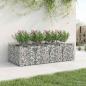 Preview: Gabionen-Hochbeet 2 stk. 200 x 100 x 60 cm Verzinkter Stahl