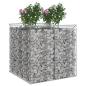 Preview: Gabionen-Hochbeet 2 stk. 100 x 100 x 100 cm Verzinkter Stahl