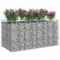 Preview: Gabionen-Hochbeet 2 stk. 200 x 100 x 100 cm Verzinkter Stahl