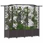 Preview: Hochbeet mit Rankgitter und Dach Braun 204 x 40 x 138 cm PP