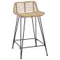Preview: Barhocker 2 Stk. Natur 44 x 45 x 76 cm Rattan und Stahl