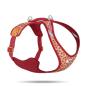 Preview: ARDEBO.de Curli All New Belka LE26 SemiCircle Rot XL