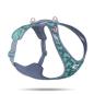 Preview: ARDEBO.de Curli All New Belka LE26 SemiCircle Blau 2XL