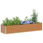 Preview: Hochbeet Hellbraun 195 x 50 x 36 cm Verzinkter Stahl