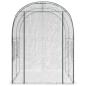 Preview: Gewächshaus mit Rahmen 160 x 200 x 192,5 cm PVC Transparent