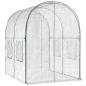 Preview: Gewächshaus mit Rahmen 160 x 200 x 192,5 cm PVC Transparent
