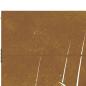 Preview: Gartentor 100x200 cm Cortenstahl Gras-Design