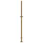 Preview: Gartentor 100x200 cm Cortenstahl
