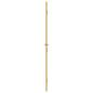Preview: Innentür Schlank Golden 102,5x201,5 cm Hartglas und Aluminium