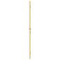 Preview: Innentür Schlank Golden 76x201,5 cm Hartglas und Aluminium
