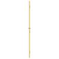 Preview: Innentür Schlank Golden 76x201,5 cm Hartglas und Aluminium