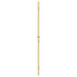 Preview: Innentür Schlank Golden 83x201,5 cm Hartglas und Aluminium