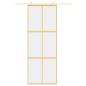 Preview: Schiebetür Golden 76x205 cm ESG-Klarglas und Aluminium