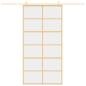 Preview: Schiebetür Golden 102,5x205 cm ESG-Klarglas und Aluminium