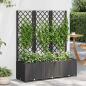 Preview: ARDEBO.de - Garten-Pflanzgefäß mit Spalier Schwarz 120 x 40 x 136 cm PP