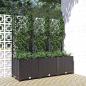 Preview: Garten-Pflanzgefäß mit Spalier Schwarz 120 x 40 x 136 cm PP