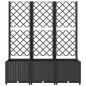 Preview: Garten-Pflanzgefäß mit Spalier Schwarz 120 x 40 x 136 cm PP