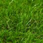 Preview: Kunstrasen 1x10 m/30 mm Grün