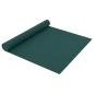 Preview: Wintervlies 70 g/m² 10x1,6 m