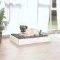 Preview: Hundebett Weiß 61,5x49x9 cm Massivholz Kiefer