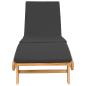 Preview: Sonnenliege Polyester Braun und Dunkelgrau
