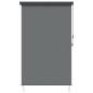 Preview: Rollo Hellgrau 120 x 250 cm Stoff und Aluminium