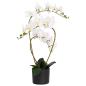 Preview: Künstliche Orchideenpflanze mit Topf Weiß 45 x 15 x 65 cm