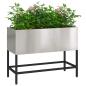 Preview: Hochbeet Gartenpflanzer Silber 60 x 26 x 45 cm Edelstahl
