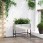 Preview: Hochbeet Gartenpflanzer Silber 60 x 26 x 45 cm Edelstahl