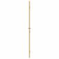 Preview: Innentür Schlank Golden 93x201,5 cm Hartglas und Aluminium