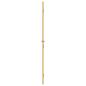 Preview: Innentür Schlank Golden 93x201,5 cm Hartglas und Aluminium