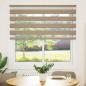 Preview: ARDEBO.de - Doppelrollo Sandbraun 150x150 cm Stoffbreite 145,9 cm Polyester