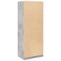 Preview: Kleiderschrank Betongrau 80x50x200 cm Holzwerkstoff