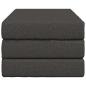 Preview: Klappsofa Bett 100 x 67 x 45 cm Dunkelgrau