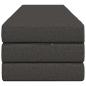 Preview: Klappsofa Bett 180 x 67 x 45 cm Dunkelgrau