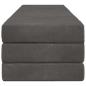 Preview: Klappsofa Bett 180 x 67 x 45 cm Dunkelgrau