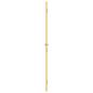 Preview: Innentür Schlank Golden 93x201,5 cm Hartglas und Aluminium