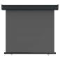 Preview: Balkon Seitenmarkise 80 x 250 cm 100% Polyester Eisen Stahl