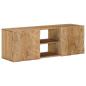 Preview: Wand-TV-Schrank mit Regal mit Speicher mit Tür 100 x 30 x 35 cm