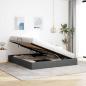 Preview: Aufbewahrungsbett mit Speicher Dunkelgrau 193 x 203 cm Stoff