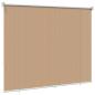 Preview: Außenrollo 205 (B)x140 (H) cm Beige