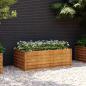 Preview: ARDEBO.de - Garten-Hochbeet 100 x 50 x 36 cm Cortenstahl