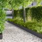 Preview: ARDEBO.de - Rasenkante 20 stk. 103 x 25 cm Stahl Schwarz