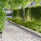 Preview: ARDEBO.de - Rasenkante 20 stk. 103 x 25 cm Stahl Silber